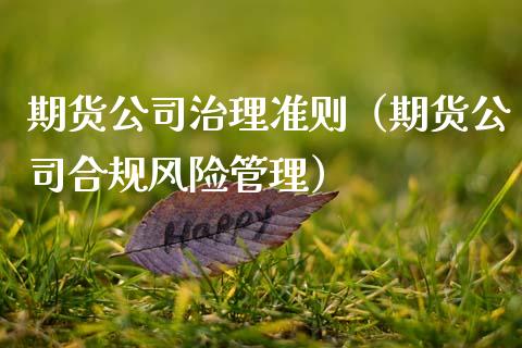 期货公司治理准则（期货公司合规风险管理） (https://www.ynbygsw.com/) 基金投资 第1张