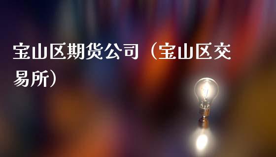宝山区期货公司（宝山区交易所） (https://www.ynbygsw.com/) 国际期货 第1张