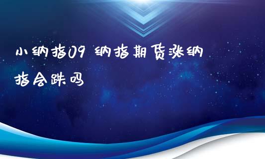 小纳指09 纳指期货涨纳指会跌吗 (https://www.ynbygsw.com/) 理财百科 第1张