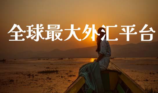 全球最大外汇平台 (https://www.ynbygsw.com/) 理财百科 第1张