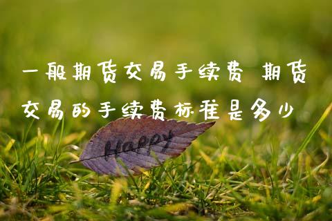 一般期货交易手续费 期货交易的手续费标准是多少 (https://www.ynbygsw.com/) 国际期货 第1张