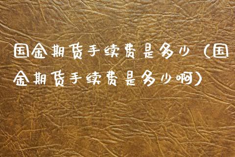 国金期货手续费是多少（国金期货手续费是多少啊） (https://www.ynbygsw.com/) 基金投资 第1张