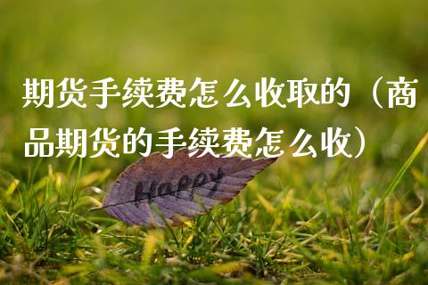 期货手续费怎么收取的（商品期货的手续费怎么收） (https://www.ynbygsw.com/) 原油期货 第1张