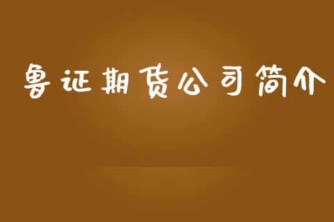 鲁证期货公司简介 (https://www.ynbygsw.com/) 国际期货 第1张
