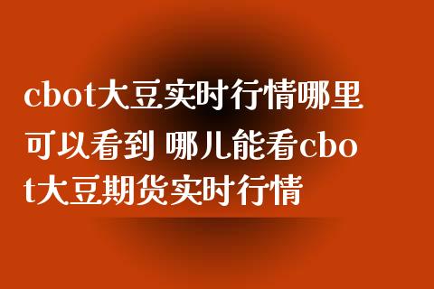 cbot大豆实时行情哪里可以看到 哪儿能看cbot大豆期货实时行情 (https://www.ynbygsw.com/) 国际期货 第1张