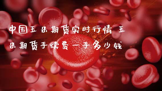 中国玉米期货实时行情 玉米期货手续费一手多少钱 (https://www.ynbygsw.com/) 国际期货 第1张