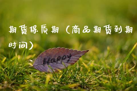 期货保质期（商品期货到期时间） (https://www.ynbygsw.com/) 股票推荐 第1张