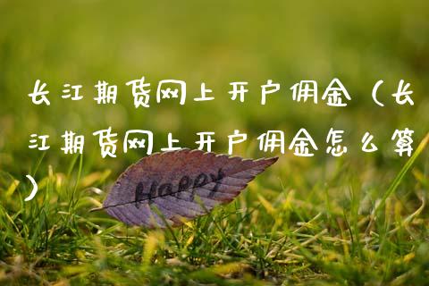 长江期货网上开户佣金（长江期货网上开户佣金怎么算） (https://www.ynbygsw.com/) 内盘期货 第1张