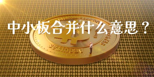 中小板合并什么意思？ (https://www.ynbygsw.com/) 基金投资 第1张