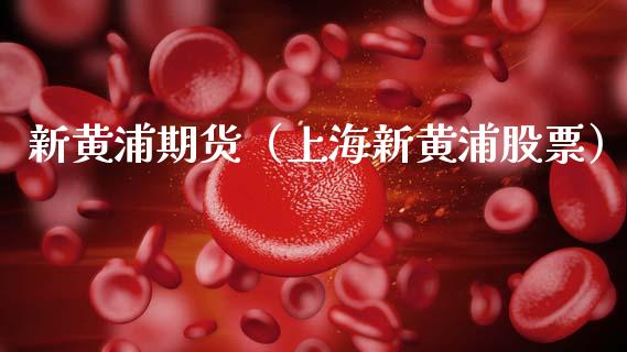 新黄浦期货（上海新黄浦股票） (https://www.ynbygsw.com/) 基金投资 第1张