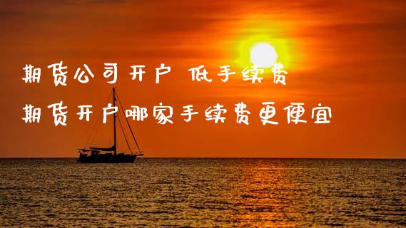 期货公司开户 低手续费 期货开户哪家手续费更便宜 (https://www.ynbygsw.com/) 国际期货 第1张