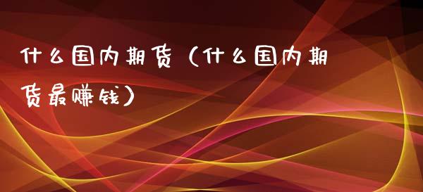 什么国内期货（什么国内期货最赚钱） (https://www.ynbygsw.com/) 国际期货 第1张