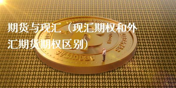 期货与现汇（现汇期权和外汇期货期权区别） (https://www.ynbygsw.com/) 期货入门 第1张