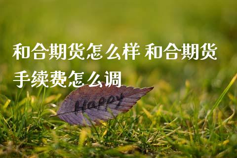和合期货怎么样 和合期货手续费怎么调 (https://www.ynbygsw.com/) 国际期货 第1张