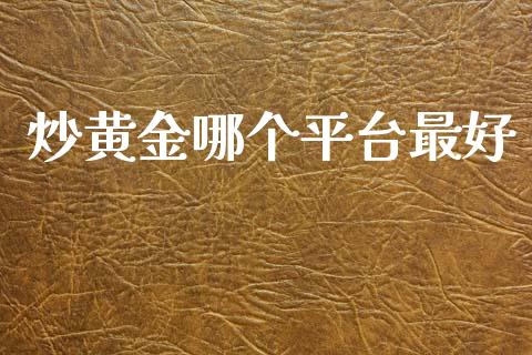 炒黄金哪个平台最好 (https://www.ynbygsw.com/) 基金投资 第1张