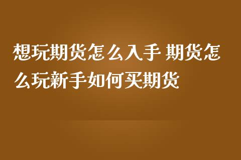 想玩期货怎么入手 期货怎么玩新手如何买期货 (https://www.ynbygsw.com/) 国际期货 第1张