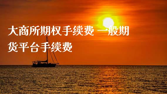 大商所期权手续费 一般期货平台手续费 (https://www.ynbygsw.com/) 国际期货 第1张