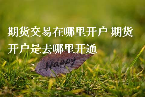 期货交易在哪里开户 期货开户是去哪里开通 (https://www.ynbygsw.com/) 国际期货 第1张