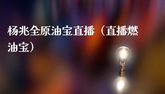 杨兆全原油宝直播（直播燃油宝） (https://www.ynbygsw.com/) 国际期货 第1张
