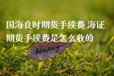 国海良时期货手续费 海证期货手续费是怎么收的 (https://www.ynbygsw.com/) 国际期货 第1张