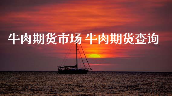 牛肉期货市场 牛肉期货查询 (https://www.ynbygsw.com/) 理财百科 第1张