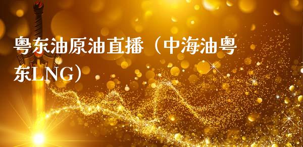 粤东油原油直播（中海油粤东LNG） (https://www.ynbygsw.com/) 基金投资 第1张