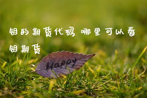 钼的期货代码 哪里可以看钼期货 (https://www.ynbygsw.com/) 股票推荐 第1张