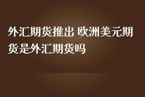外汇期货推出 欧洲美元期货是外汇期货吗 (https://www.ynbygsw.com/) 基金投资 第1张
