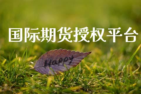 国际期货授权平台 (https://www.ynbygsw.com/) 国际期货 第1张