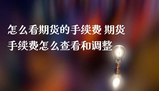 怎么看期货的手续费 期货手续费怎么查看和调整 (https://www.ynbygsw.com/) 国际期货 第1张