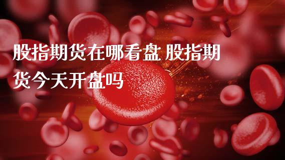 股指期货在哪看盘 股指期货今天吗 (https://www.ynbygsw.com/) 国际期货 第1张