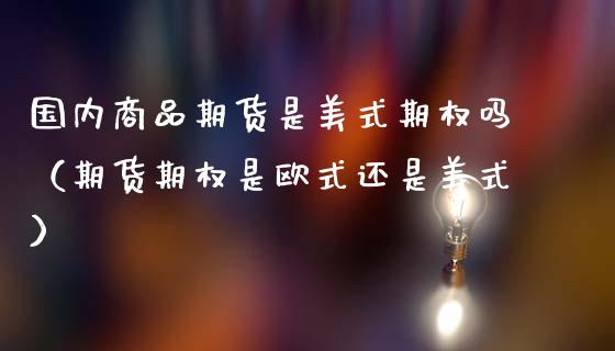 国内商品期货是美式期权吗（期货期权是欧式还是美式） (https://www.ynbygsw.com/) 理财百科 第1张