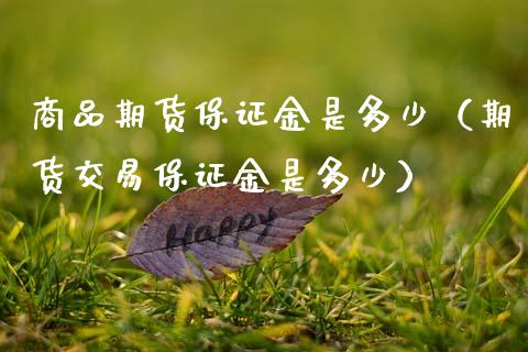 商品期货保证金是多少（期货交易保证金是多少） (https://www.ynbygsw.com/) 原油期货 第1张