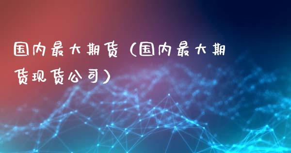 国内最大期货（国内最大期货现货公司） (https://www.ynbygsw.com/) 内盘期货 第1张