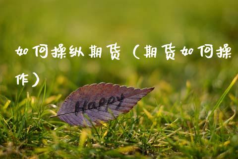 如何操纵期货（期货如何操作） (https://www.ynbygsw.com/) 国际期货 第1张