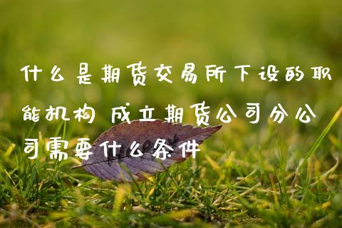 什么是期货交易所下设的职能机构 成立期货公司分公司需要什么条件 (https://www.ynbygsw.com/) 基金投资 第1张