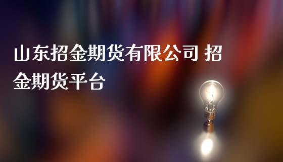 山东招金期货有限公司 招金期货平台 (https://www.ynbygsw.com/) 理财百科 第1张