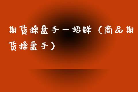 期货操盘手一招鲜（商品期货操盘手） (https://www.ynbygsw.com/) 基金投资 第1张