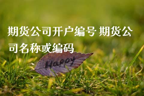 期货公司开户编号 期货公司名称或编码 (https://www.ynbygsw.com/) 基金投资 第1张