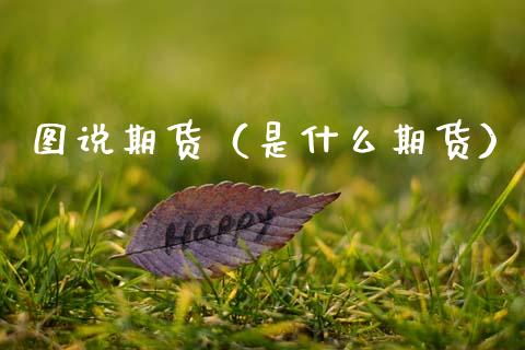 图说期货（是什么期货） (https://www.ynbygsw.com/) 国际期货 第1张