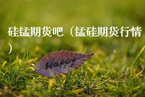 硅锰期货吧（锰硅期货行情） (https://www.ynbygsw.com/) 国际期货 第1张