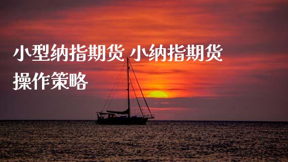 小型纳指期货 小纳指期货操作策略 (https://www.ynbygsw.com/) 理财百科 第1张