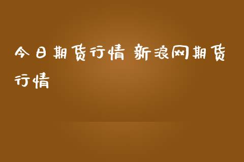 今日期货行情 新浪网期货行情 (https://www.ynbygsw.com/) 理财百科 第1张