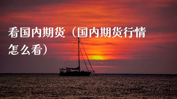 看国内期货（国内期货行情怎么看） (https://www.ynbygsw.com/) 基金投资 第1张