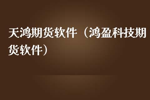 天鸿期货软件（鸿盈科技期货软件） (https://www.ynbygsw.com/) 国际期货 第1张