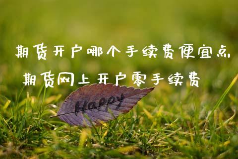 期货开户哪个手续费便宜点 期货网上开户零手续费 (https://www.ynbygsw.com/) 国际期货 第1张