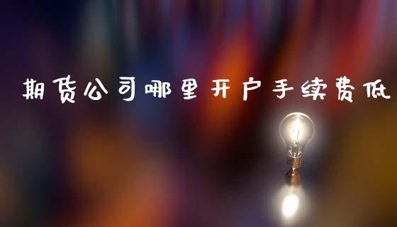 期货公司哪里开户手续费低 (https://www.ynbygsw.com/) 国际期货 第1张