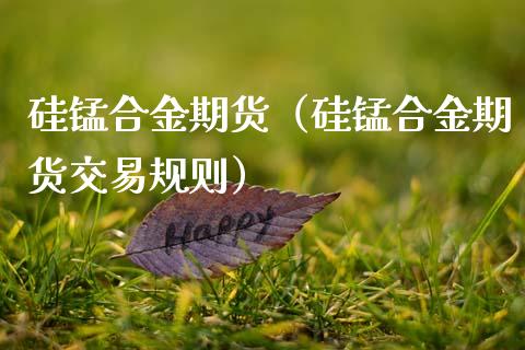 硅锰合金期货（硅锰合金期货交易规则） (https://www.ynbygsw.com/) 基金投资 第1张