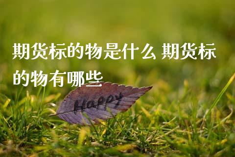 期货标的物是什么 期货标的物有哪些 (https://www.ynbygsw.com/) 国际期货 第1张