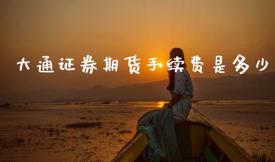 大通证券期货手续费是多少 (https://www.ynbygsw.com/) 理财百科 第1张